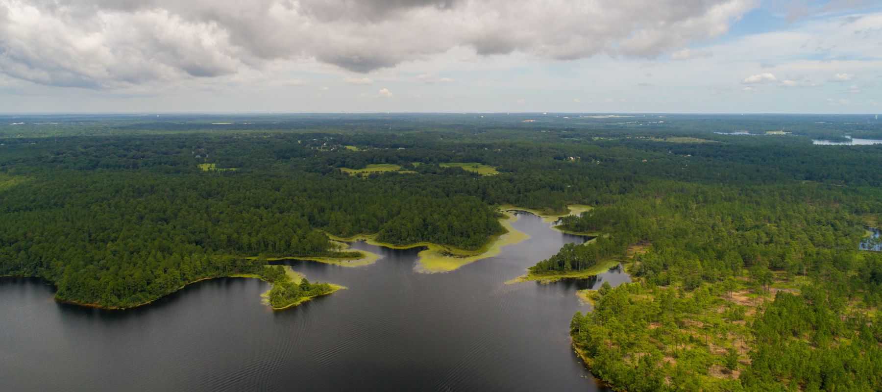 Aerial view of a large forested area with winding lakes and a cloudy sky overhead