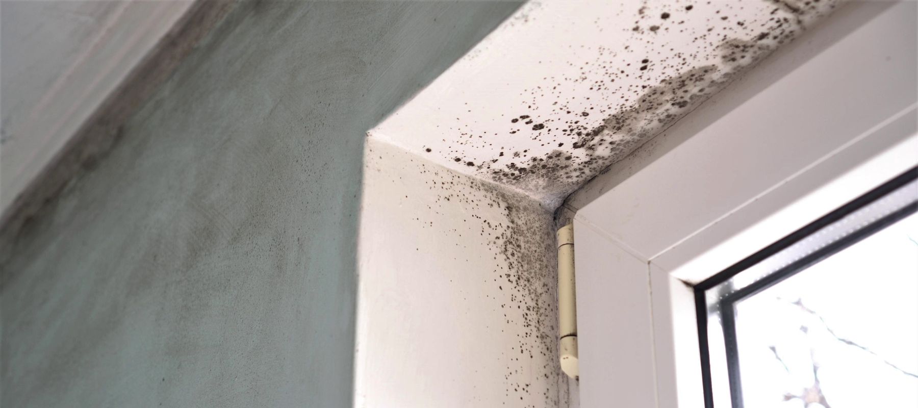 How Energy-Efficient Windows Prevent Condensation And Mold